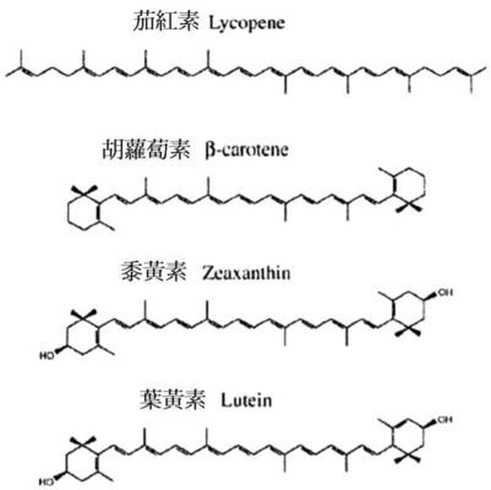 植物天然色素
